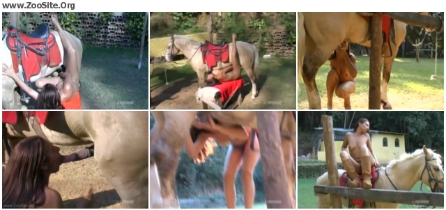 4d30ae635155273 - THE CHRONICLES OF ANIMALS - ANIMAL ABUSES ARSE - Animal Sex Cinema