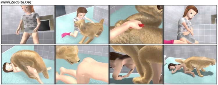 Sex Animation Animals
