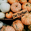 fall55.jpg